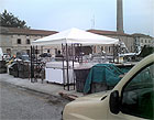 Il "mercato" del pesce al porto di Senigallia