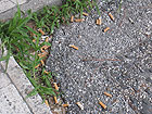 Giardino del Perticari di Senigallia pieno di mozziconi di sigarette