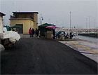 Il "mercato" del pesce al porto di Senigallia