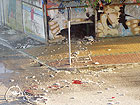 Viale dei Gerani alle Saline dove nel maggio 2007 esplose una bombola di gas che ferì due ragazzi