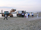 L’operazione di sequestro del materiale abusivo sulla spiaggia di Senigallia
