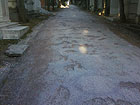 Uno dei viali del cimitero delle Grazie a Senigallia, comletamente rovinato e pieno di buche