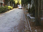 Automobili tra i viali del cimitero delle Grazie a Senigallia