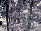 giardini catalani anni 60