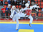 30a edizione del Campionato Interregionale di Taekwondo che si è svolto al Palazzo dello Sport di Senigallia