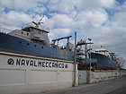 I "colossi" del Navalmeccanico di Senigallia, fermi da oltre 30 anni in cantiere