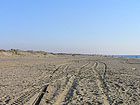 Spiaggia, dune costiere