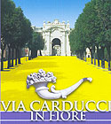 logo Via Carducci in fiore