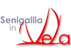 logo Senigallia in Vela