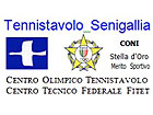 logo Tennistavolo Senigallia