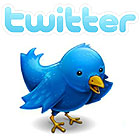 twitter - bird - logo